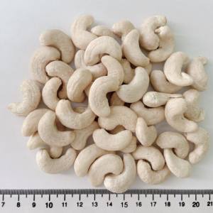 Raw Cashew Kernel - WW240